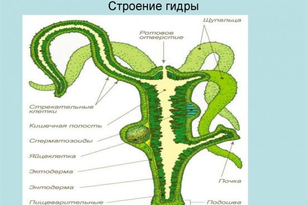 Кракен даркнет официальный сайт