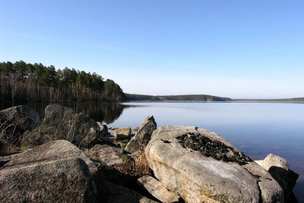 Вместо гидры