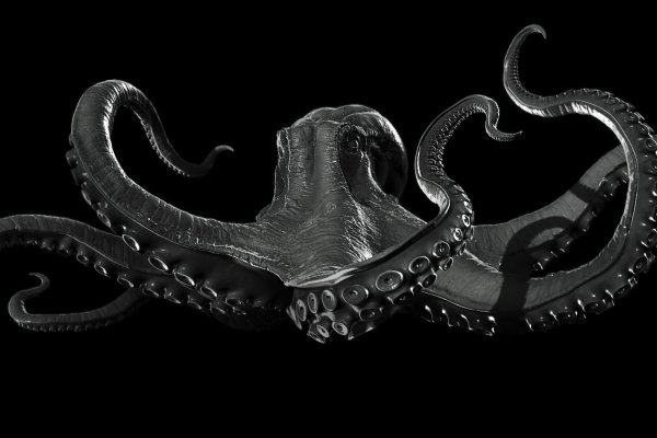 Kraken 14 at