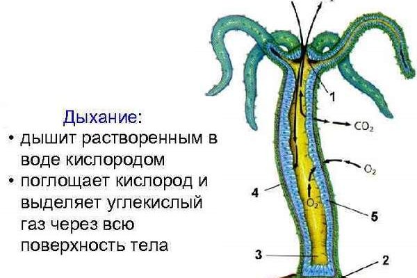 Kraken ссылка kraken014 com