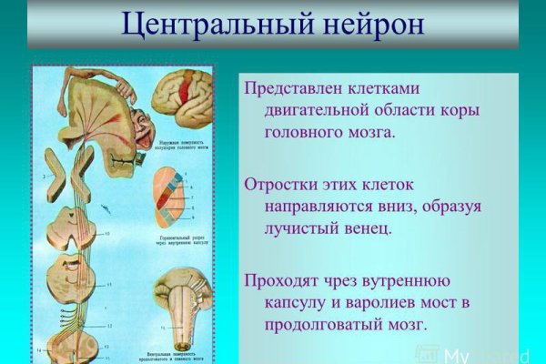 Кракен зайти